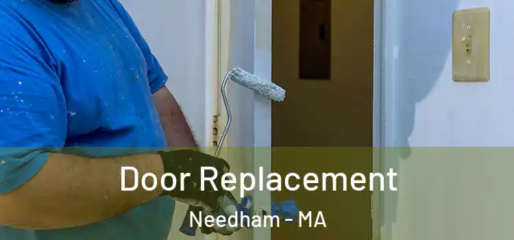Door Replacement Needham - MA