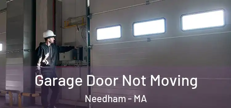  Garage Door Not Moving Needham - MA