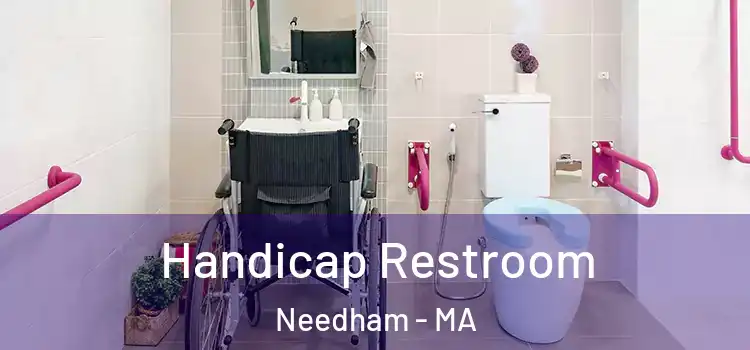  Handicap Restroom Needham - MA