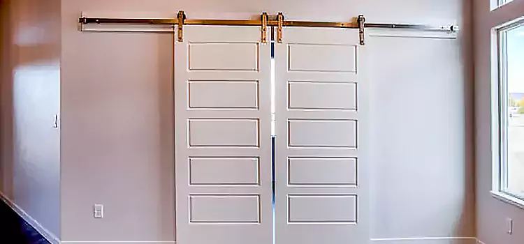 Glass Barn Door with Installation Hardware Kit Needham