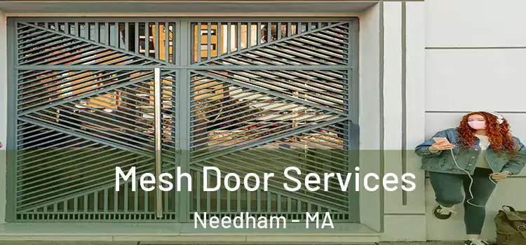  Mesh Door Services Needham - MA