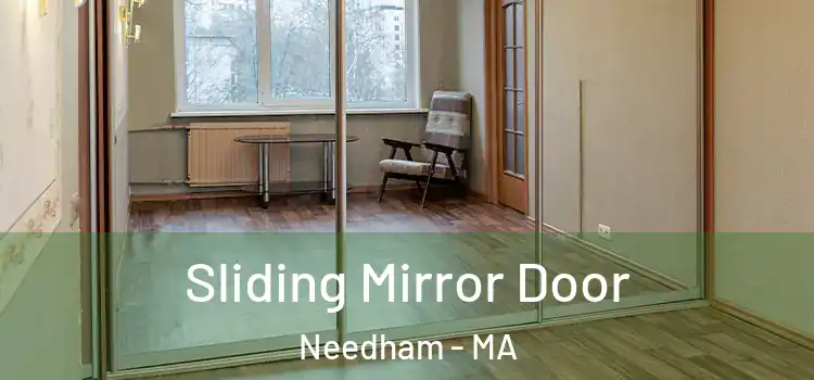  Sliding Mirror Door Needham - MA
